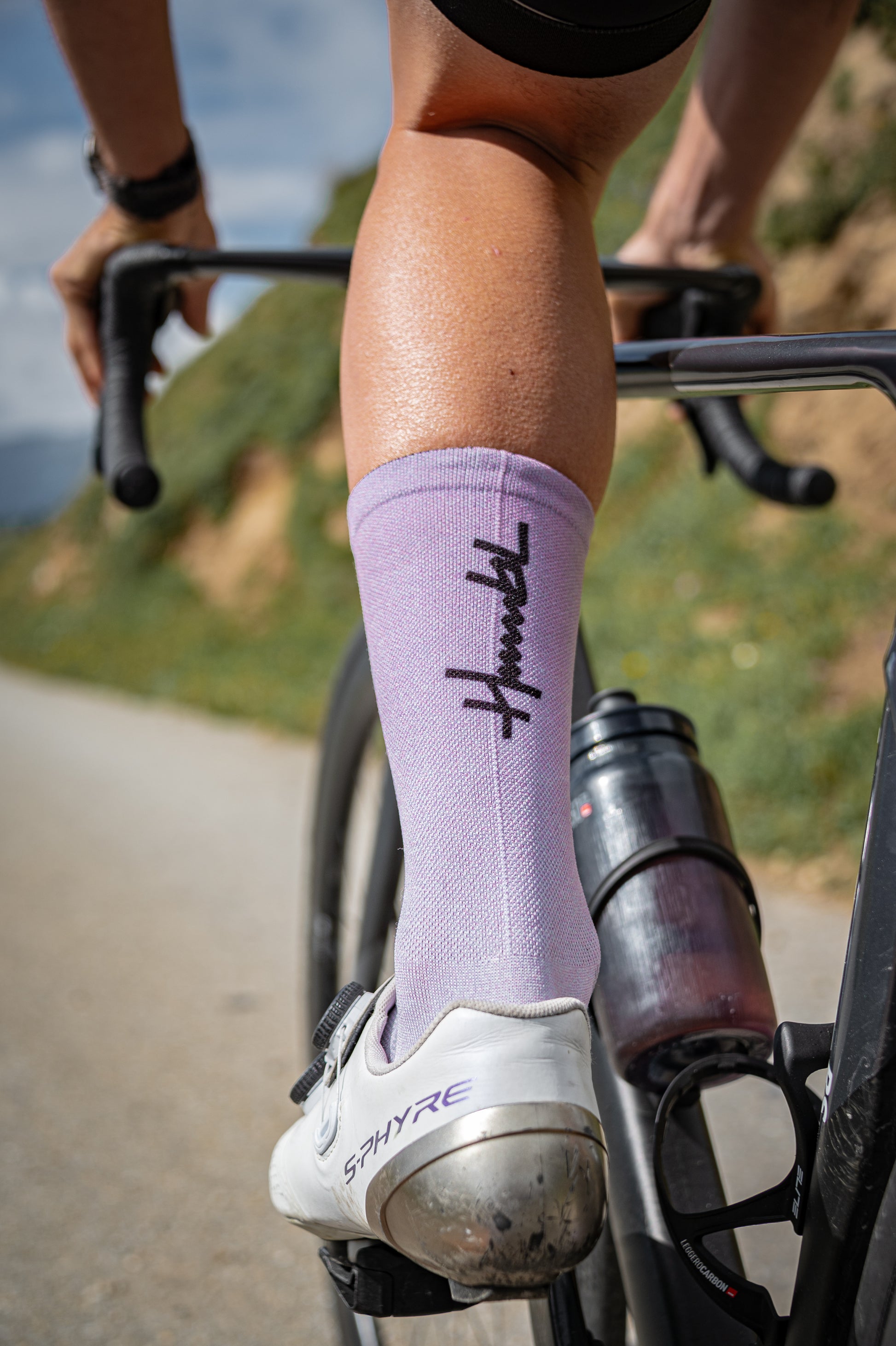 Sox (Nachlieferung 2026)